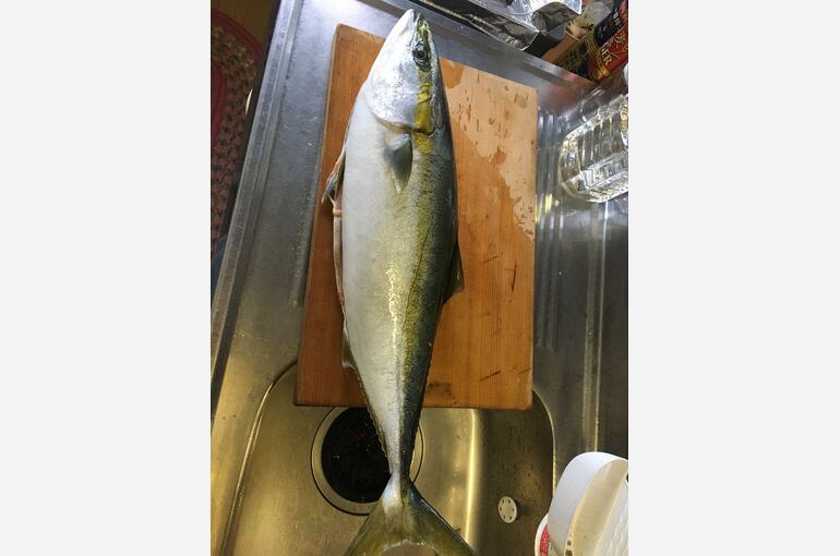 釣り