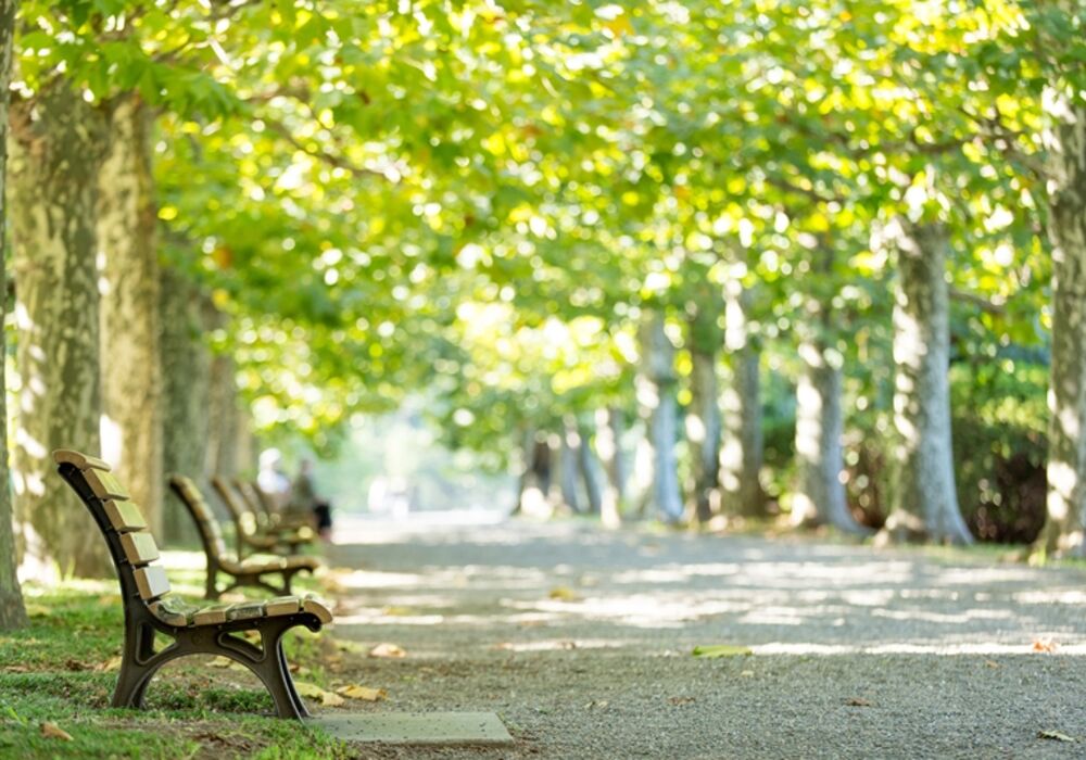 AdobeStock_93778446